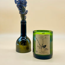 Load image into Gallery viewer, Lissner | Parsley Seed & Basil Scented Candle