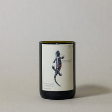 Load image into Gallery viewer, Tscheppe Salamander | Cinnamon &amp; Orange | Wine Bottle Candle
